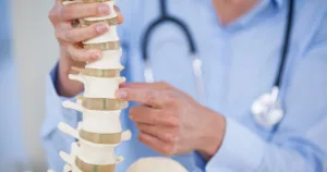 Someone pointing to a model of a human spine.